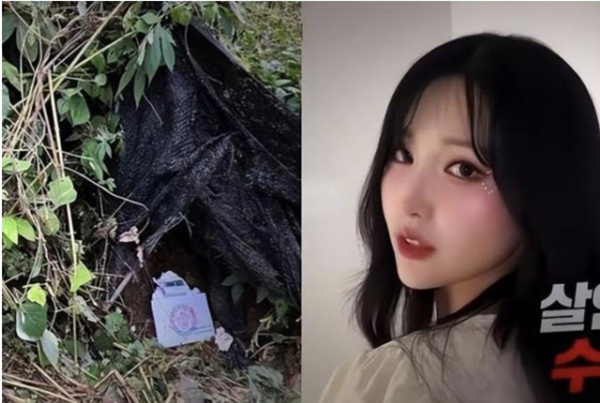代发鸟入口：网红直播背后的悲剧，一场打赏引发的血案与幻想崩塌