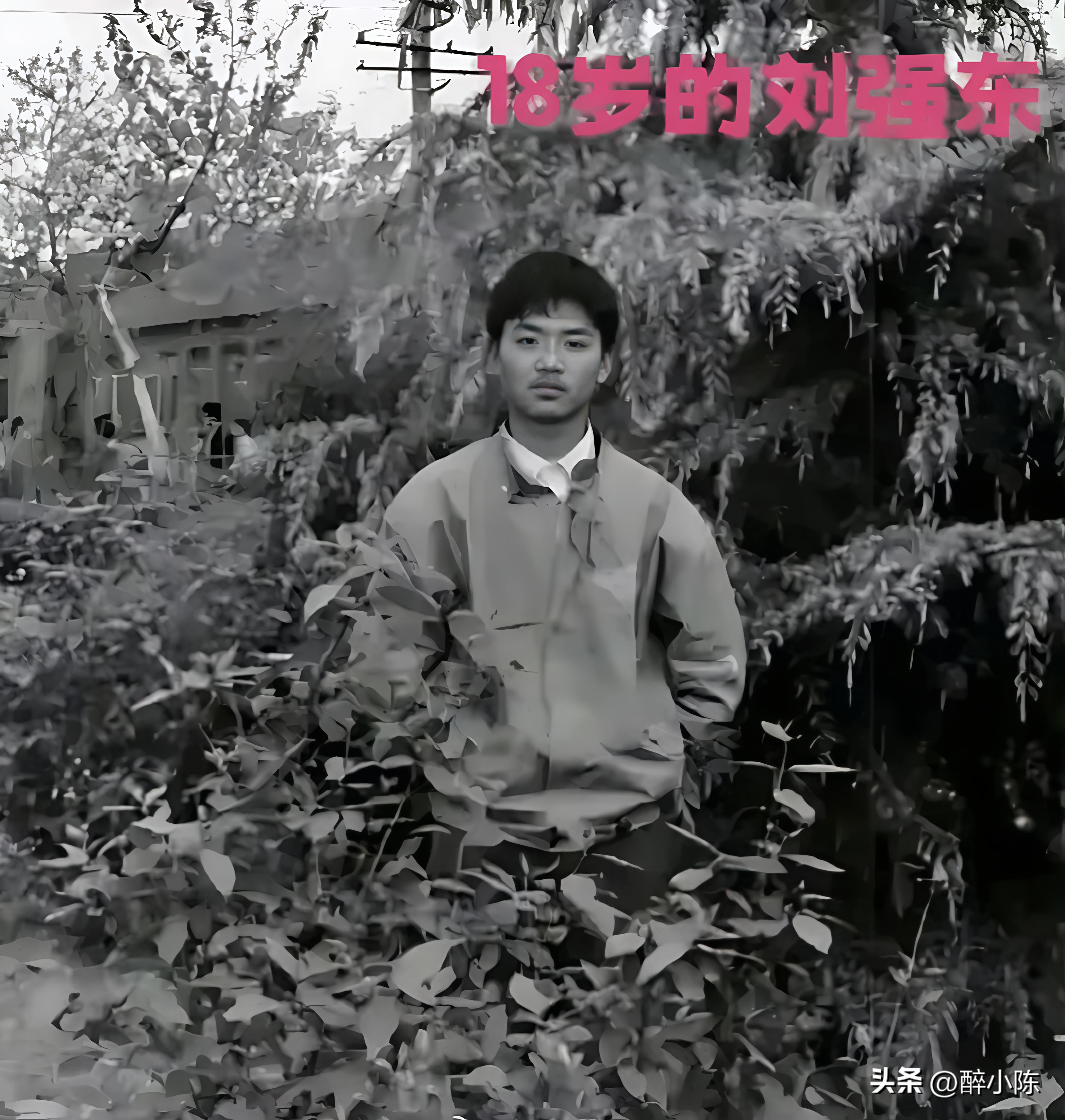 代发鸟教程：刘强东与章泽天，从校园恋情到商业强强联合的传奇人生