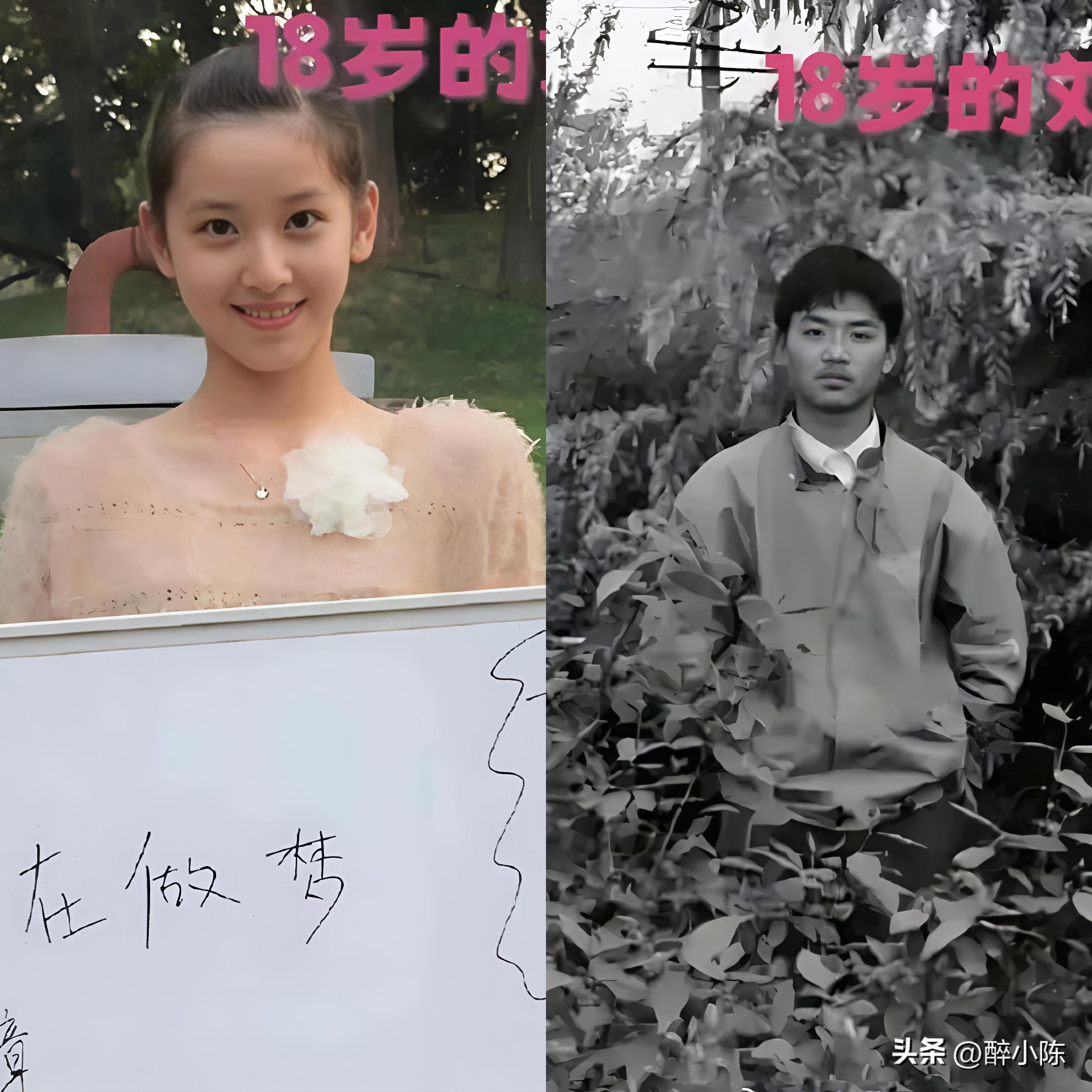 代发鸟教程：刘强东与章泽天，从校园恋情到商业强强联合的传奇人生