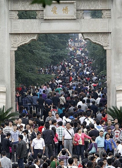 代发鸟安全吗：南京旅游热潮揭秘，古都如何吸引全国游客的关注与创新
