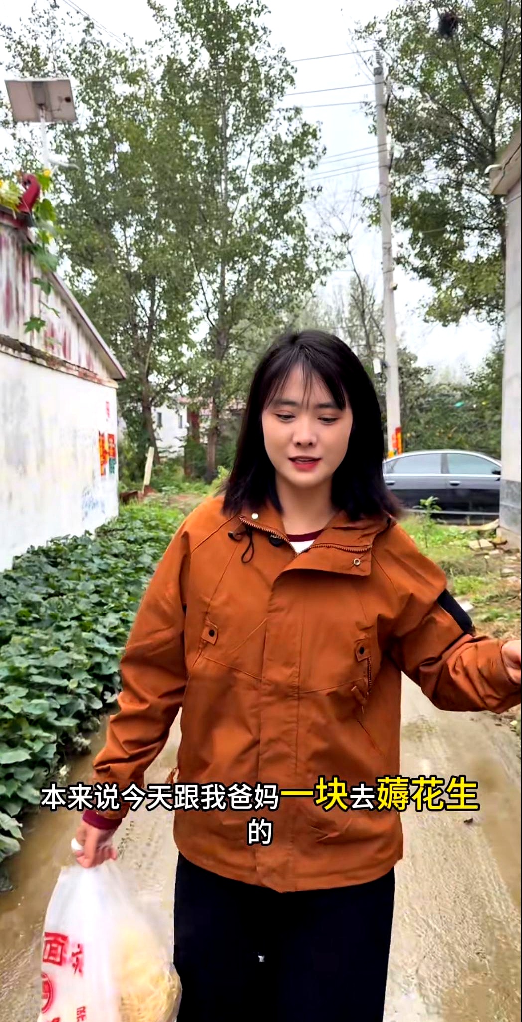 代发鸟教程：晋老五因未婚妻分手失粉丝，瑞瑞成功转型带货主播