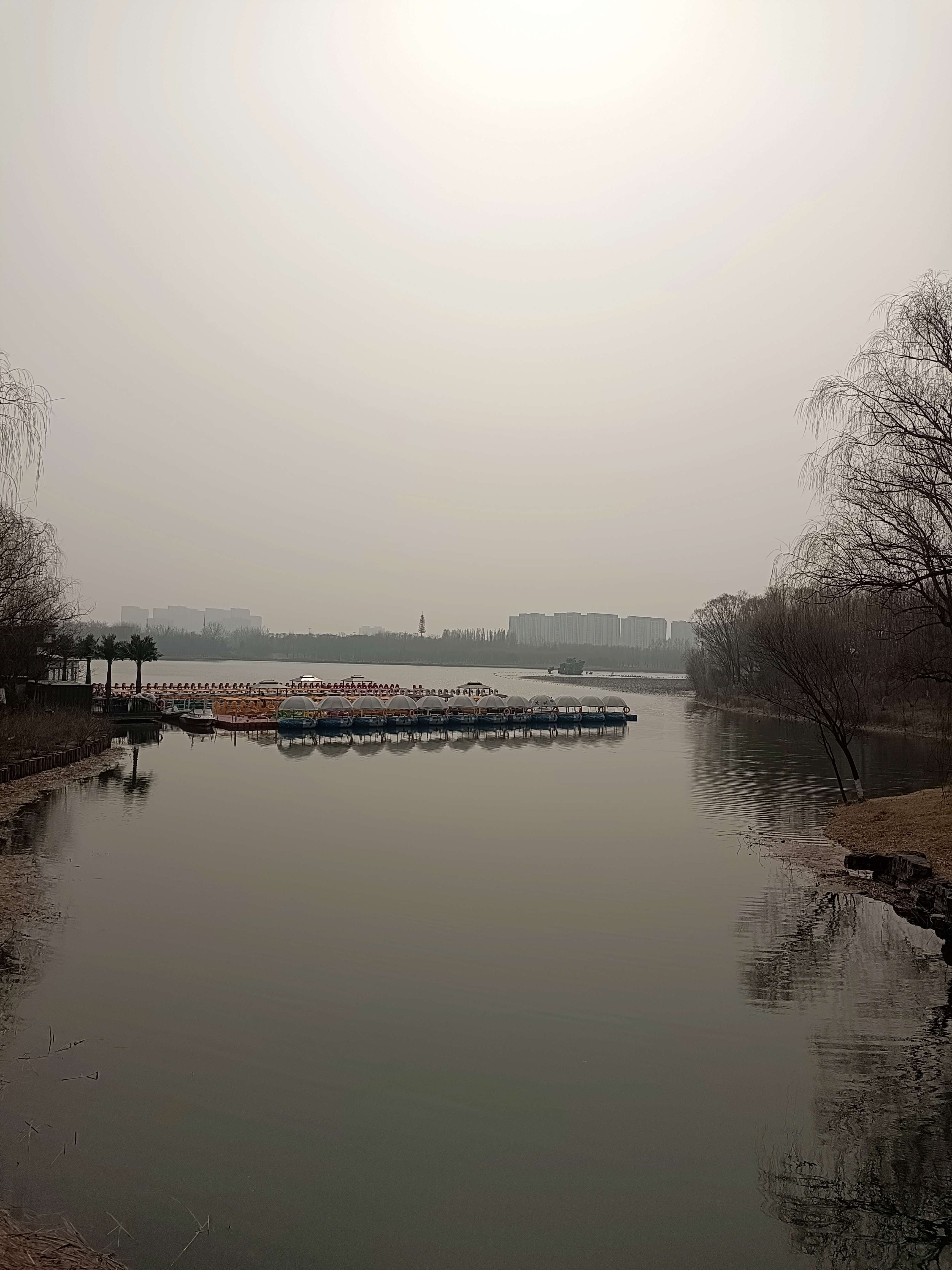 礼品平台：沈巍直播带货，真诚互动与文化融入的成功策略分析