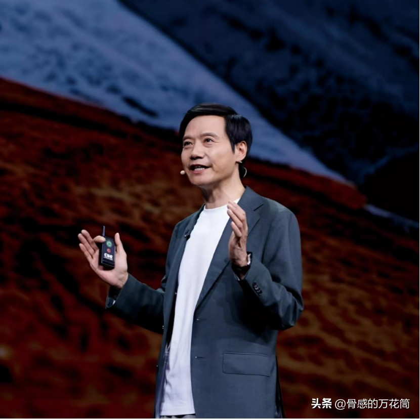 蜂鸟代发：雷军的公众形象，网络表演中的真实与虚幻解析