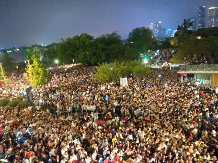 代发鸟安全吗：南京旅游热潮揭秘，古都如何吸引全国游客的关注与创新