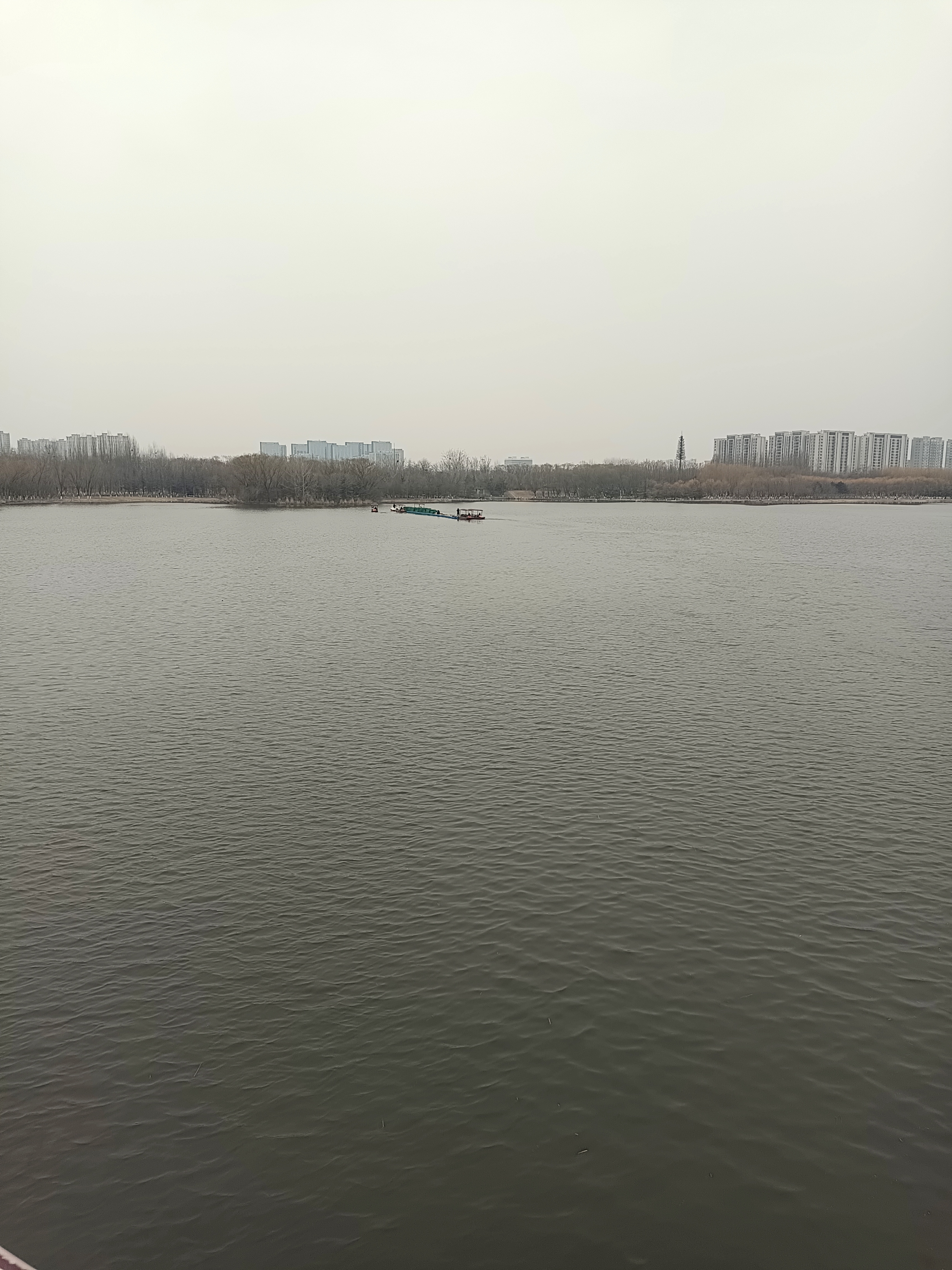礼品平台：沈巍直播带货，真诚互动与文化融入的成功策略分析