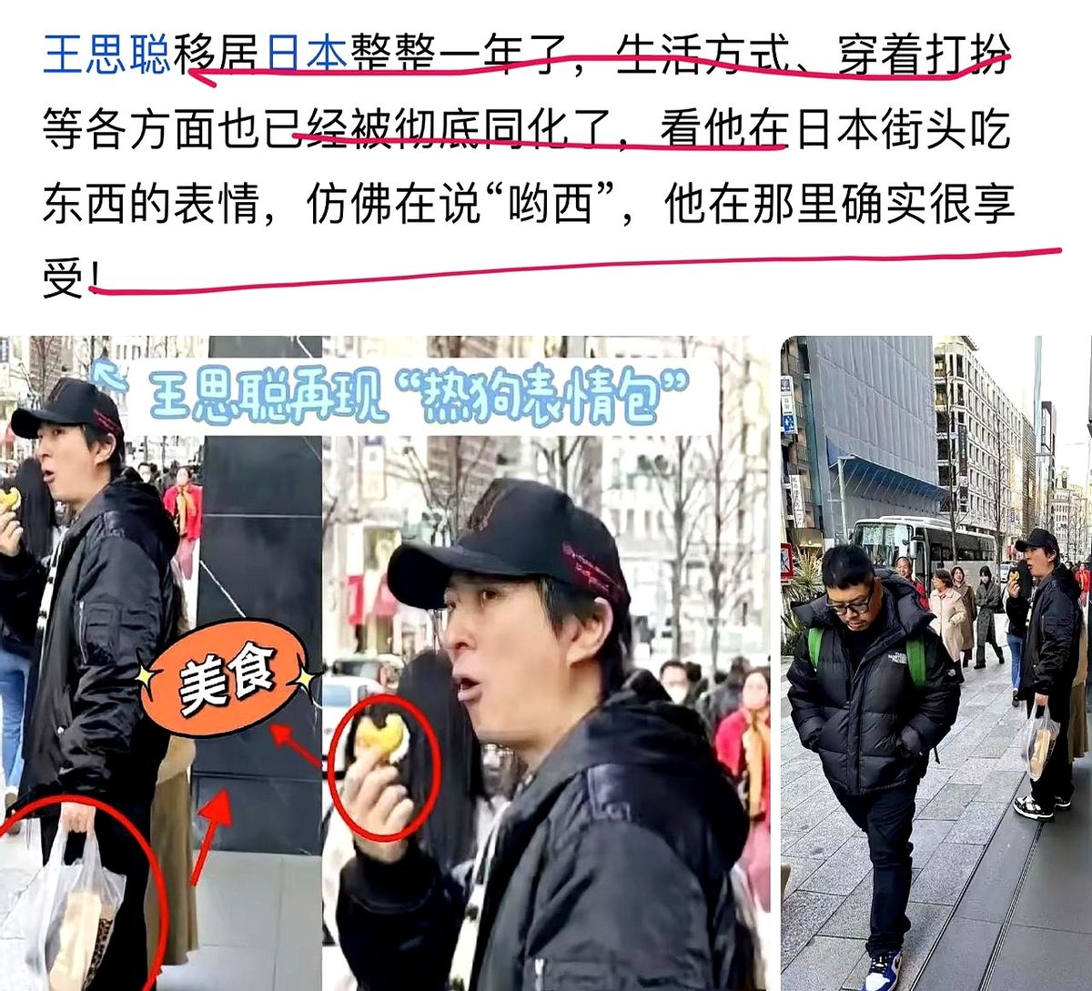番茄助手拼多多：王思聪东京生活观察，从富二代到市井文化的快乐融入