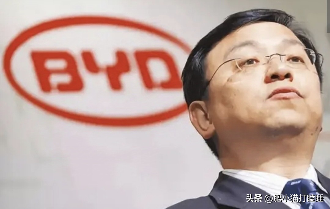 权重大师怎么用：拼多多崛起，互联网企业利润大比拼，腾讯仍居领先地位
