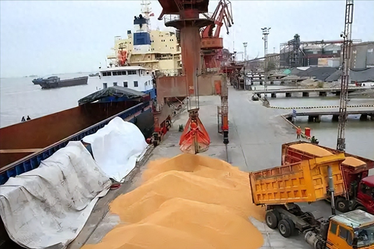 魅力狗:巴西大豆价格飙升,中国买家暂停采购背后的市场博弈与粮食安全策略 魅力狗:巴西大豆价格飙升,中国买家暂停采购背后的市场博弈与粮食安全策略