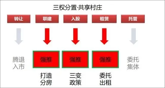 多多出评助手：整村运营与乡村振兴，打造亿元村的成功经验与发展模式解析