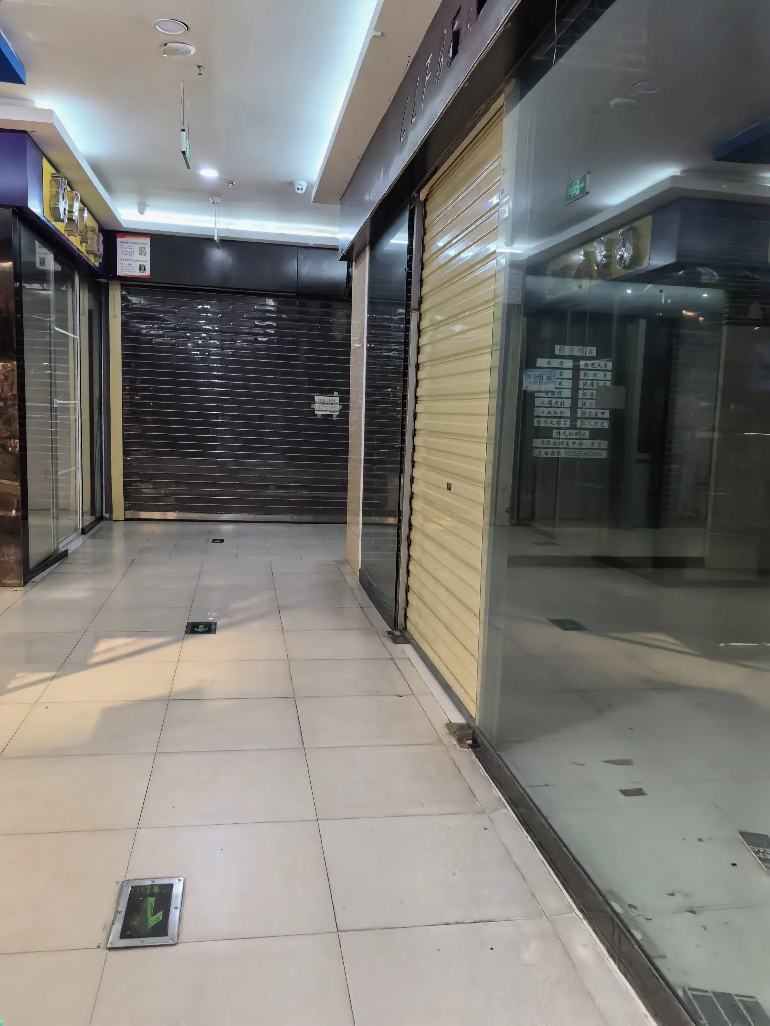 魅力狗软件官网：商场凋零，消费革命如何重塑实体经济与购物体验