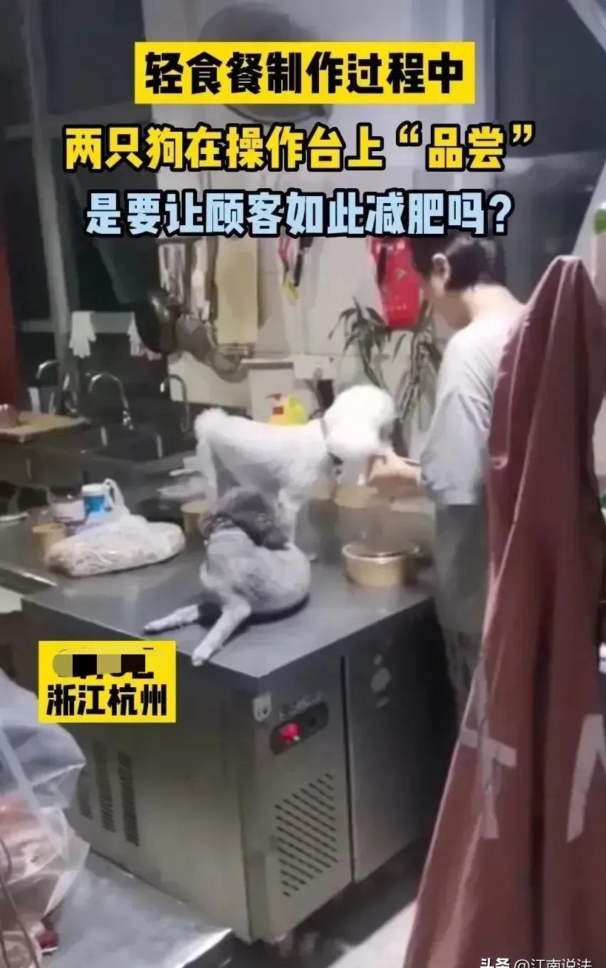 易商助手下载：外卖被狗舔事件引发食品安全热议，网友呼吁加强监管！