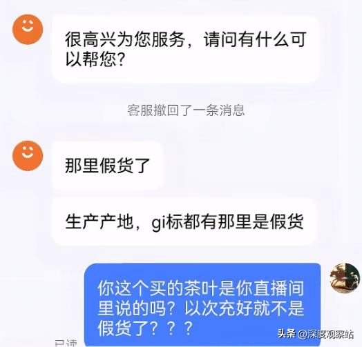 快火助手：网络擦边的危险，从“大logo”事件看低俗直播与法律红线的交锋