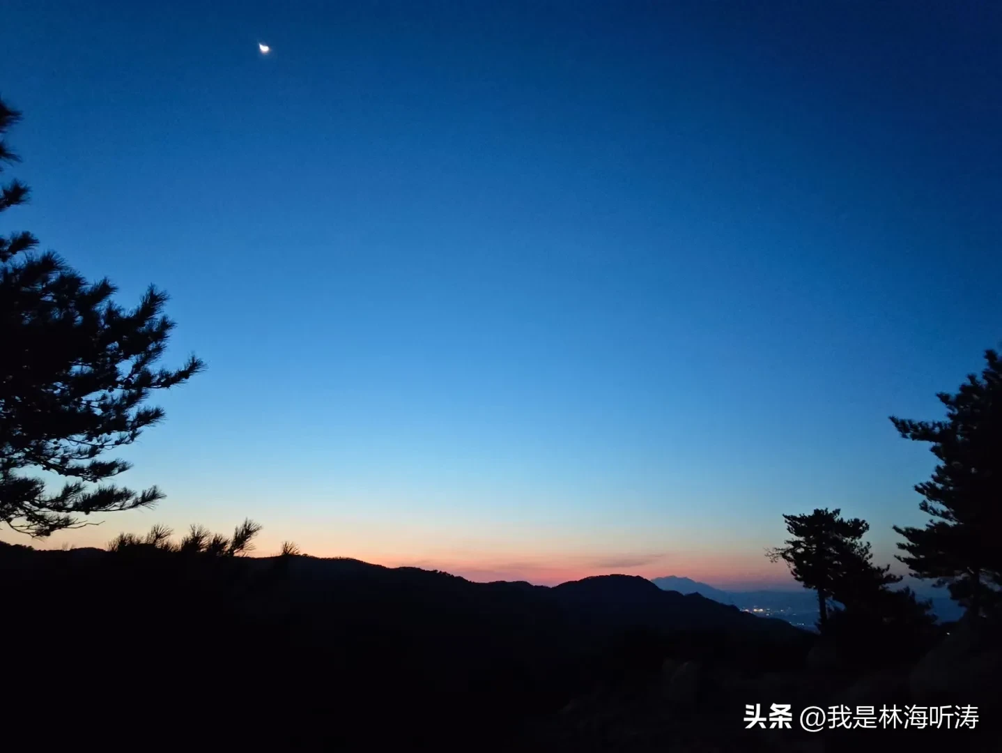 小评评助手下载官网：关税战与贸易战，美国霸凌主义的本质及未来走向分析