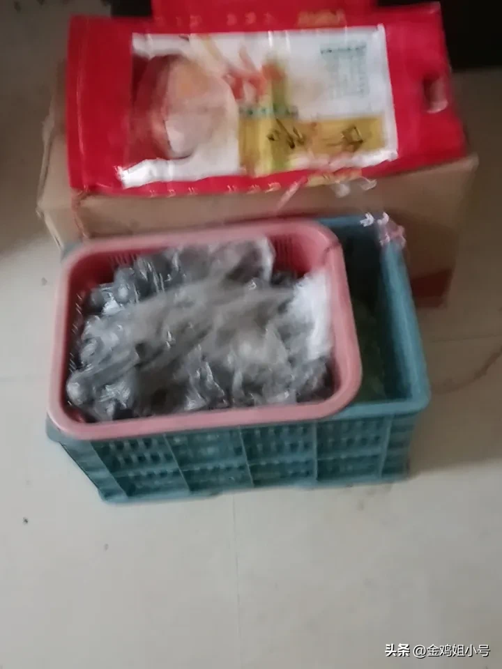 易评助手入口：中秋国庆临近，老鼠问题如何解决？教你家庭清洁小妙招