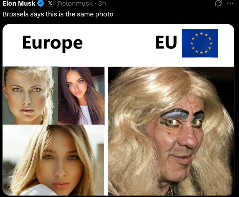 新小x助手：马斯克炮轰欧盟，揭露黑暗交易与言论自由的真相