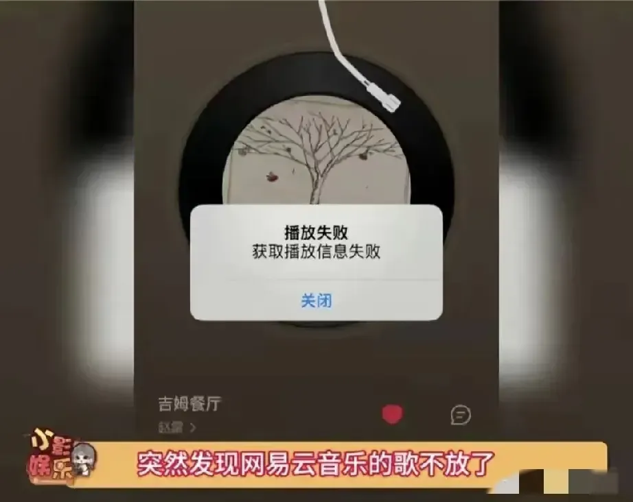 拼多多出评软件：网易云音乐因数据迁移崩溃，用户与员工的悲惨遭遇分析