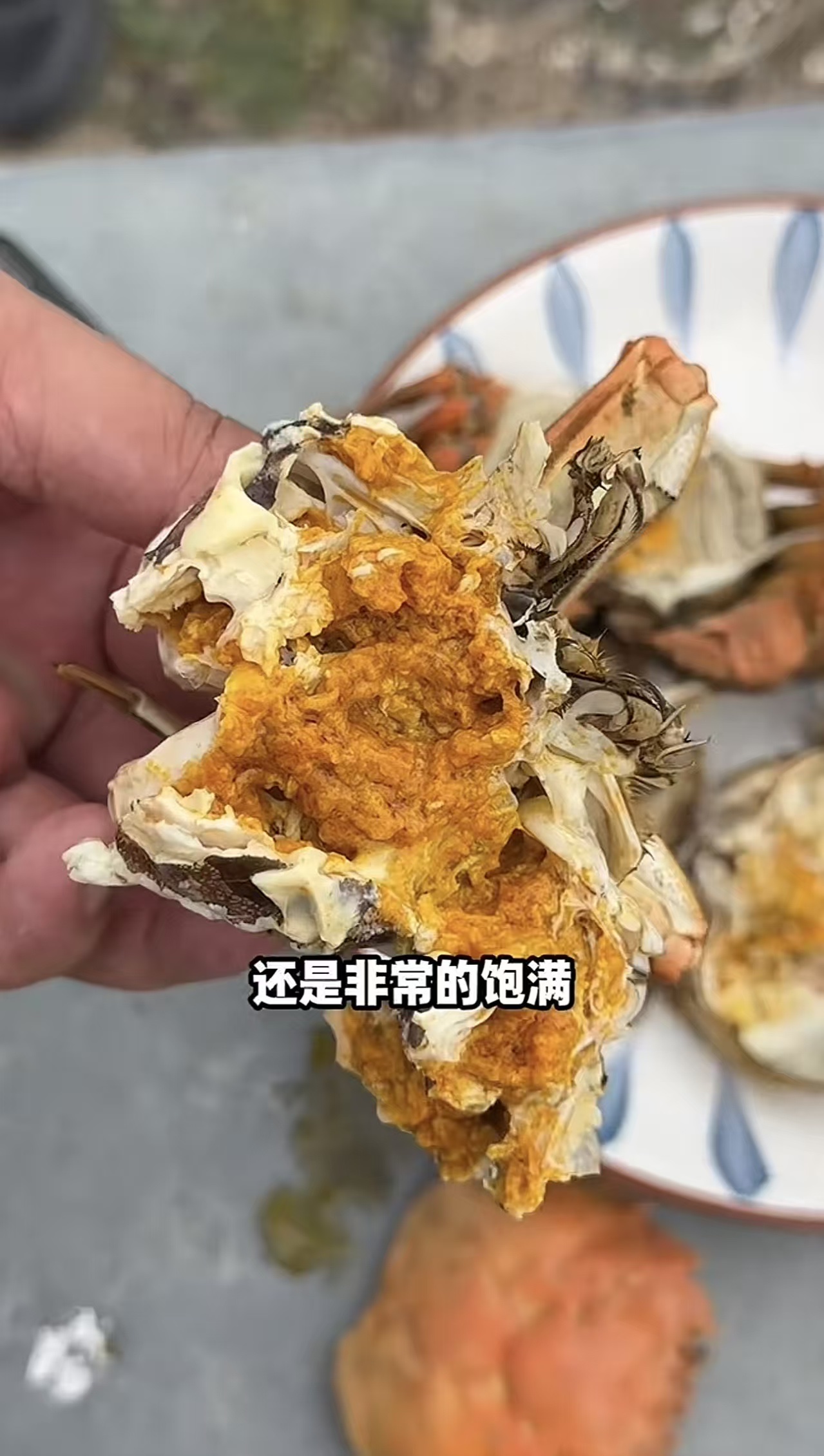 超评助手最新版本：明星跨界宿迁螃蟹养殖，李维刚亲自捕捞售卖新鲜美味！