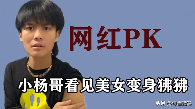 番茄管家：小杨哥自建APP收会员费，网红经济新风潮能否成功？