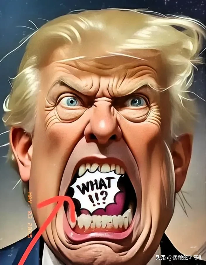 番茄管家卡密：美国取消低价包裹免税政策，跨境电商与消费者面临双重压力