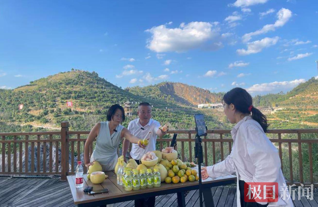 权重助手：湘宣恩贡水白柚直播带货助力农户增收，乡村振兴新模式