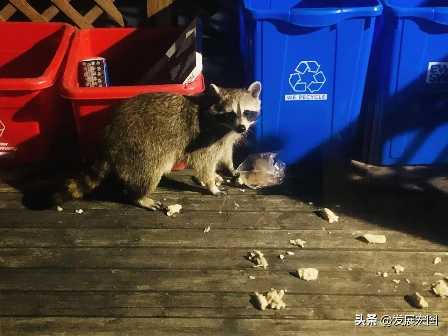 小G助手网站：理解开窍规律，成功与赚钱的关键法则分析