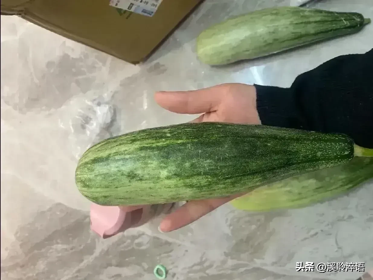 51助手：正宗山东羊角蜜的美味与消暑秘籍，夏季水果新选择
