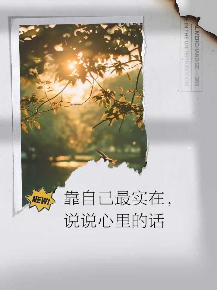 魅力狗怎么用：借钱背后的心理与家庭责任，女性如何面对亲情与经济压力