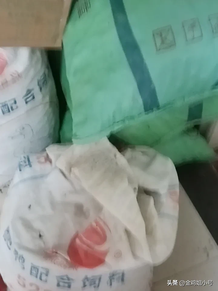 易评助手入口：中秋国庆临近，老鼠问题如何解决？教你家庭清洁小妙招
