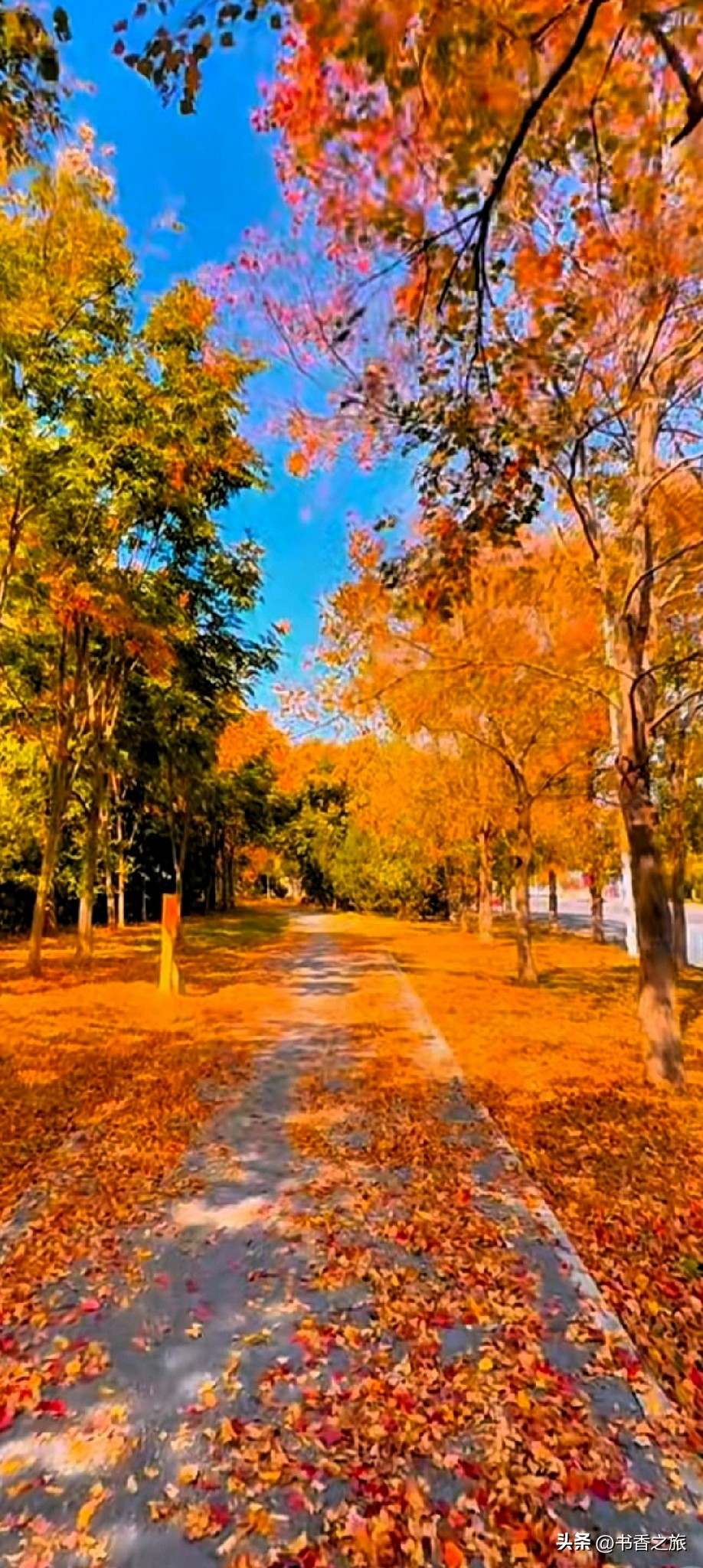 易单助手：小红书禁言事件，反对剽窃的正当声音与平台的不公对抗