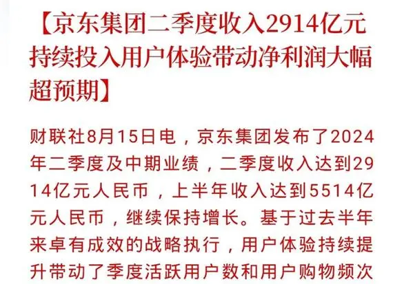 多多出评：京东2024年第二季度财报，净营收2914亿元，零售与物流持续增长