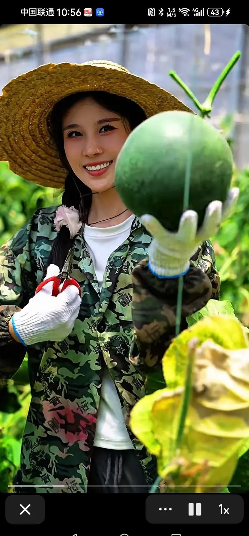 多多出评：比李子柒更励志的农业女网红，曹子瑜的成功之路与奋斗精神