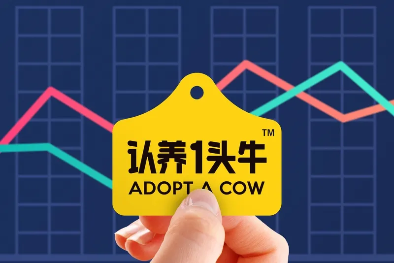 易拼团：认养一头牛广告引发争议，22万条差评揭露乳企真相
