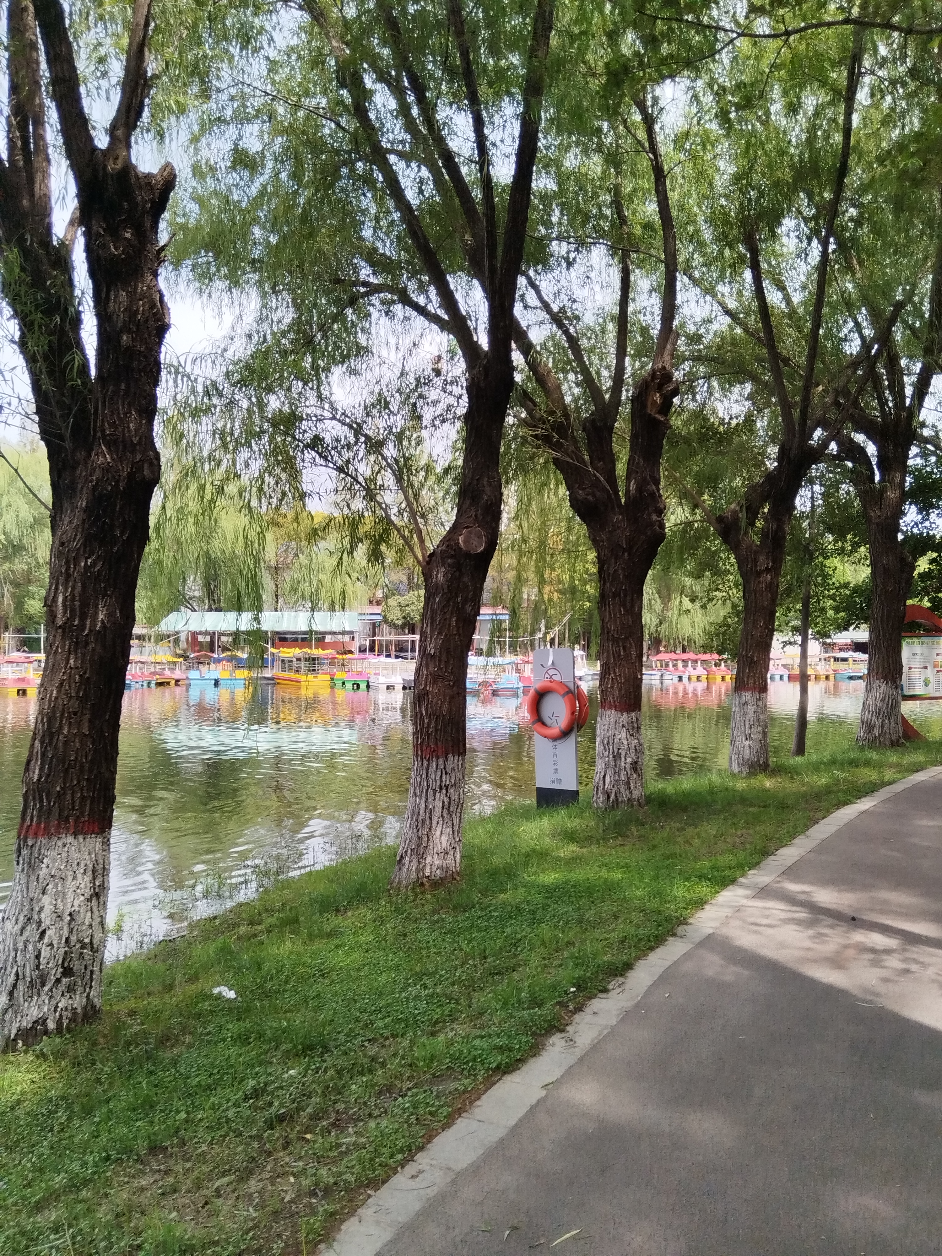 小J助手：揭开不体面生意的真相，为何低调行业能带来高收益？