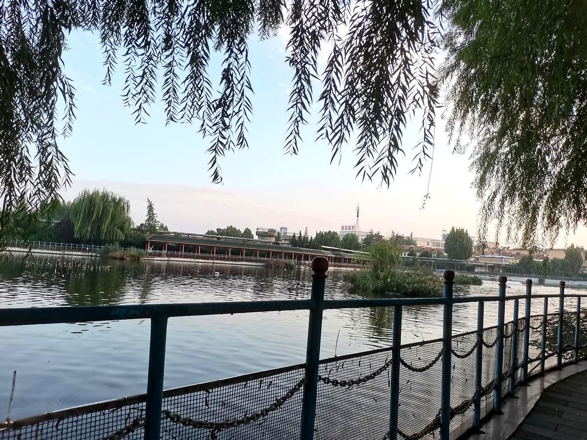 51助手下载安装：职场压力大？哈佛教你5分钟呼吸法缓解焦虑与提升专注力