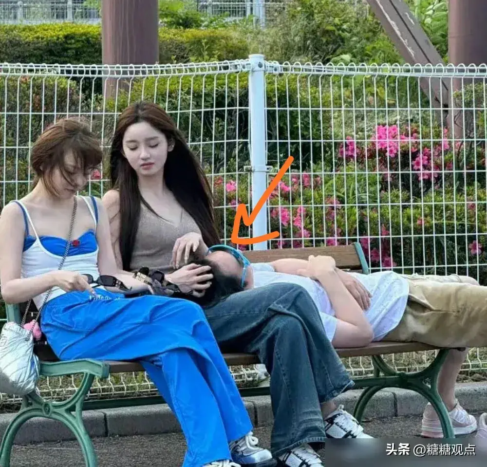 小Q助手：王思聪与新女友在日本的甜蜜日常，羡煞旁人的恋爱时光