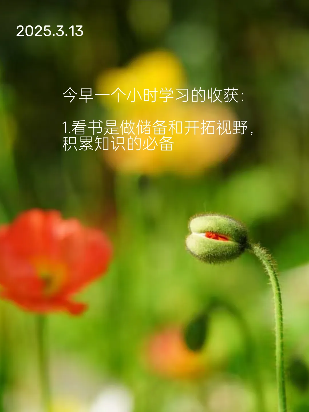 权重助手：提升学习效率，从每日阅读到有效时间管理的经验分享