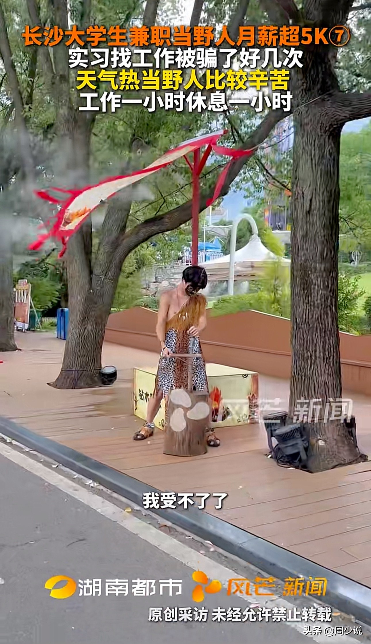 权重大师软件：长沙大学生月薪五千竞选“野人”职位，揭示就业市场的残酷竞争