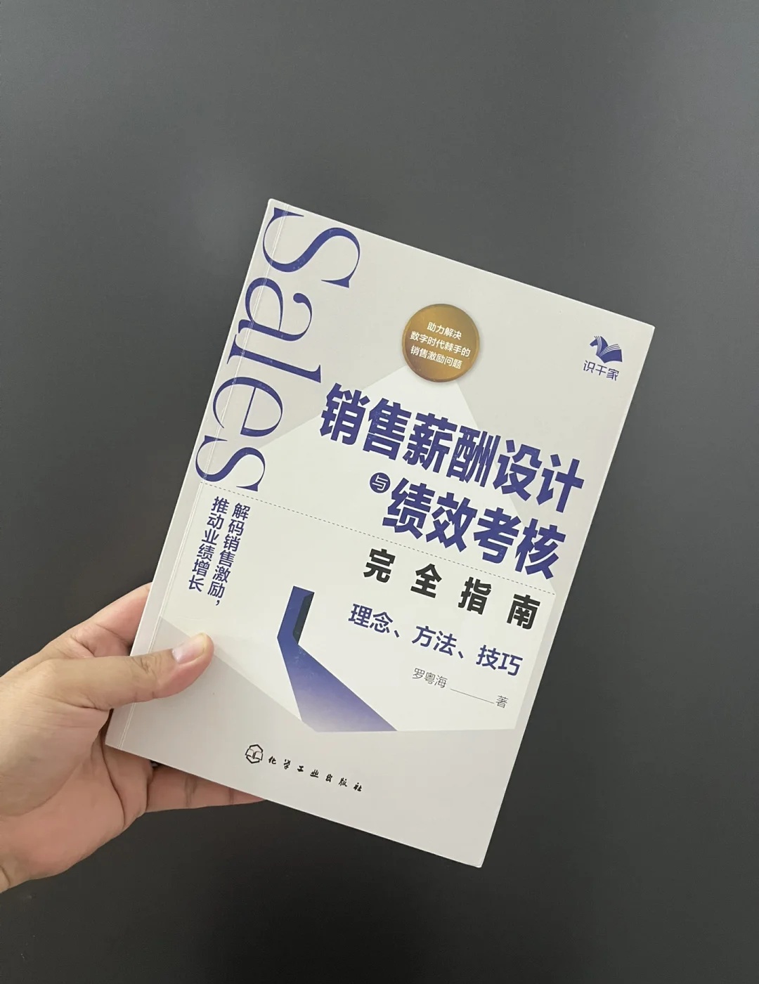 易出评下载安装：销售团队薪酬设计的反常识逻辑与业绩激励策略解析