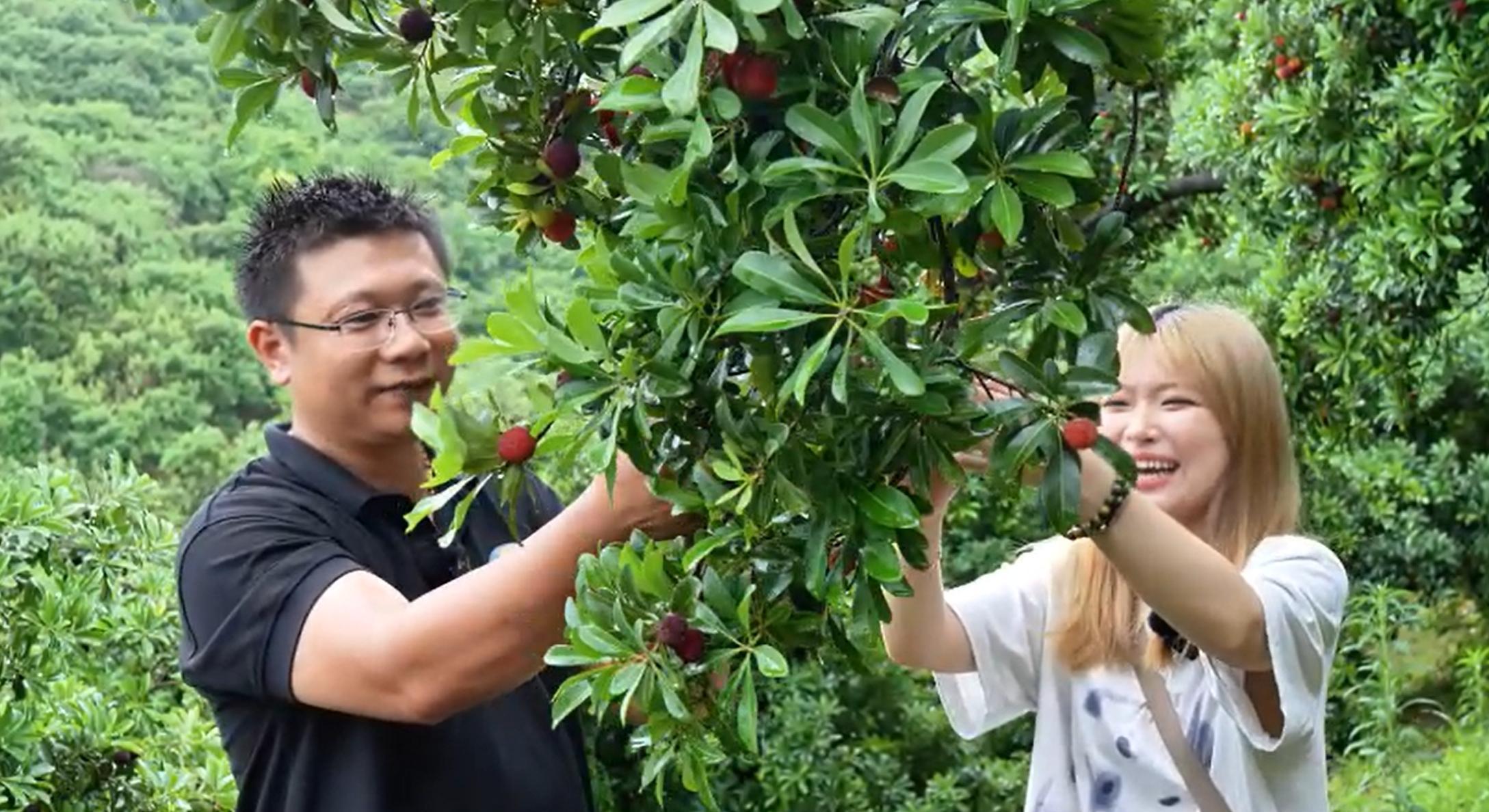 易单助手入口：菜鸟速递推出“生鲜平价寄”，七大桃乡实现新鲜美味直达！