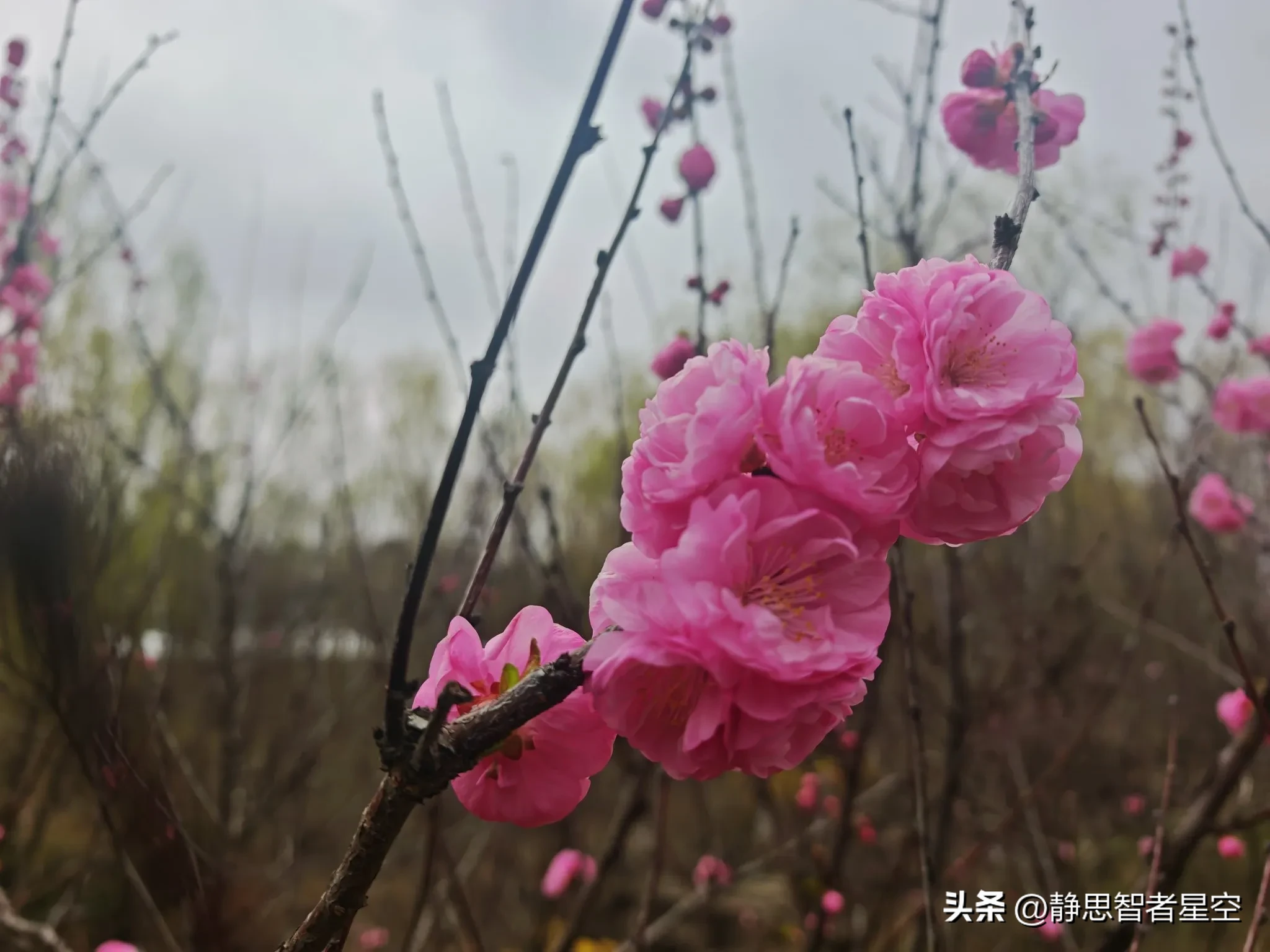 神龙助手：人工智能无法完全取代公务员与法官的原因分析