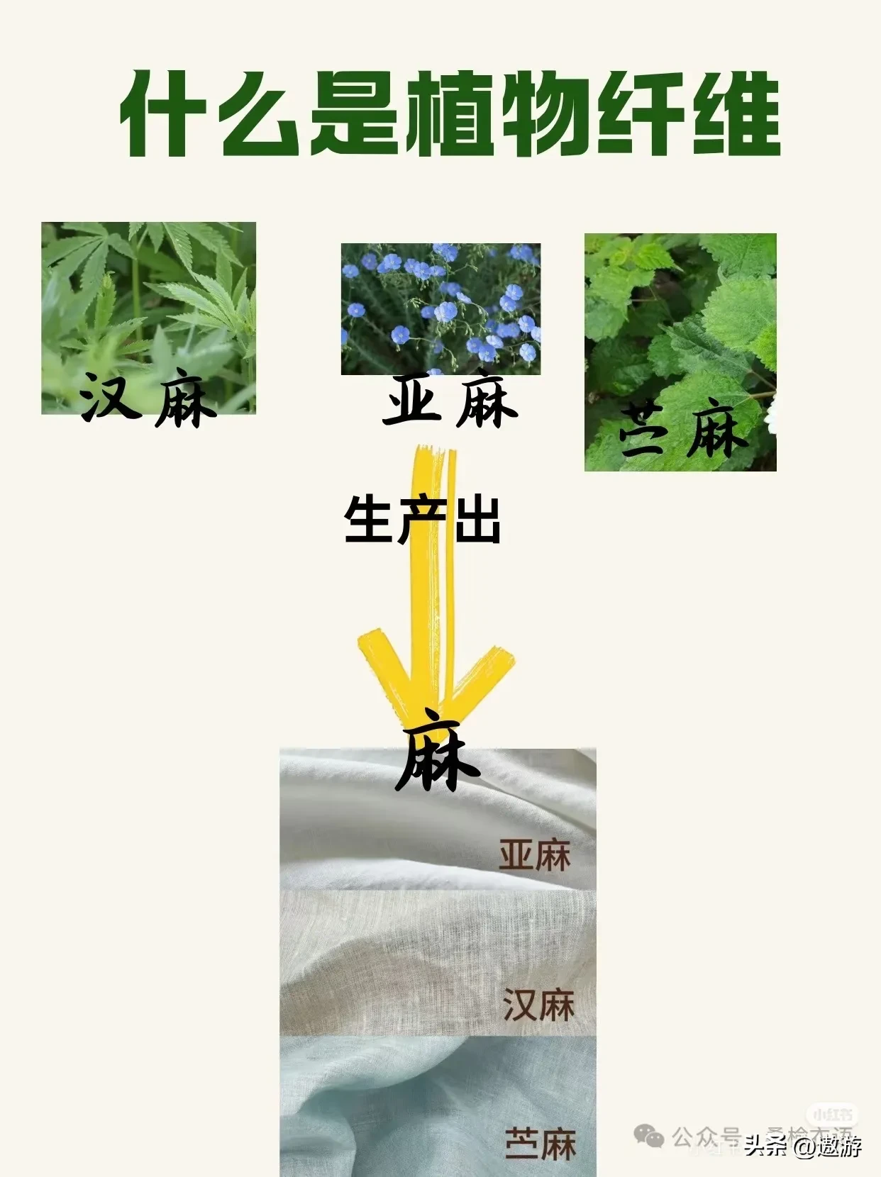 超评助手怎么用：如何避免塑料衣物？选购天然材质衣服的实用指南