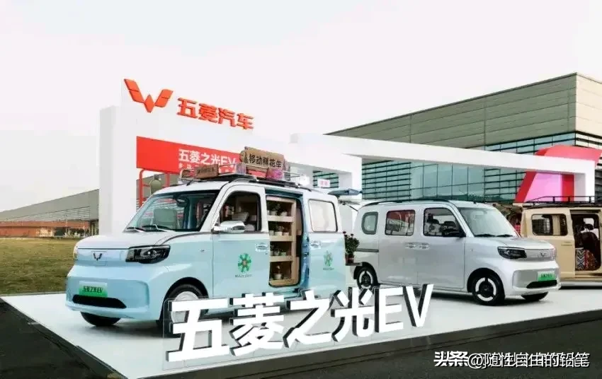 权重大师：2024年国内乘用车市场销量分析，比亚迪领跑，自主品牌表现强劲