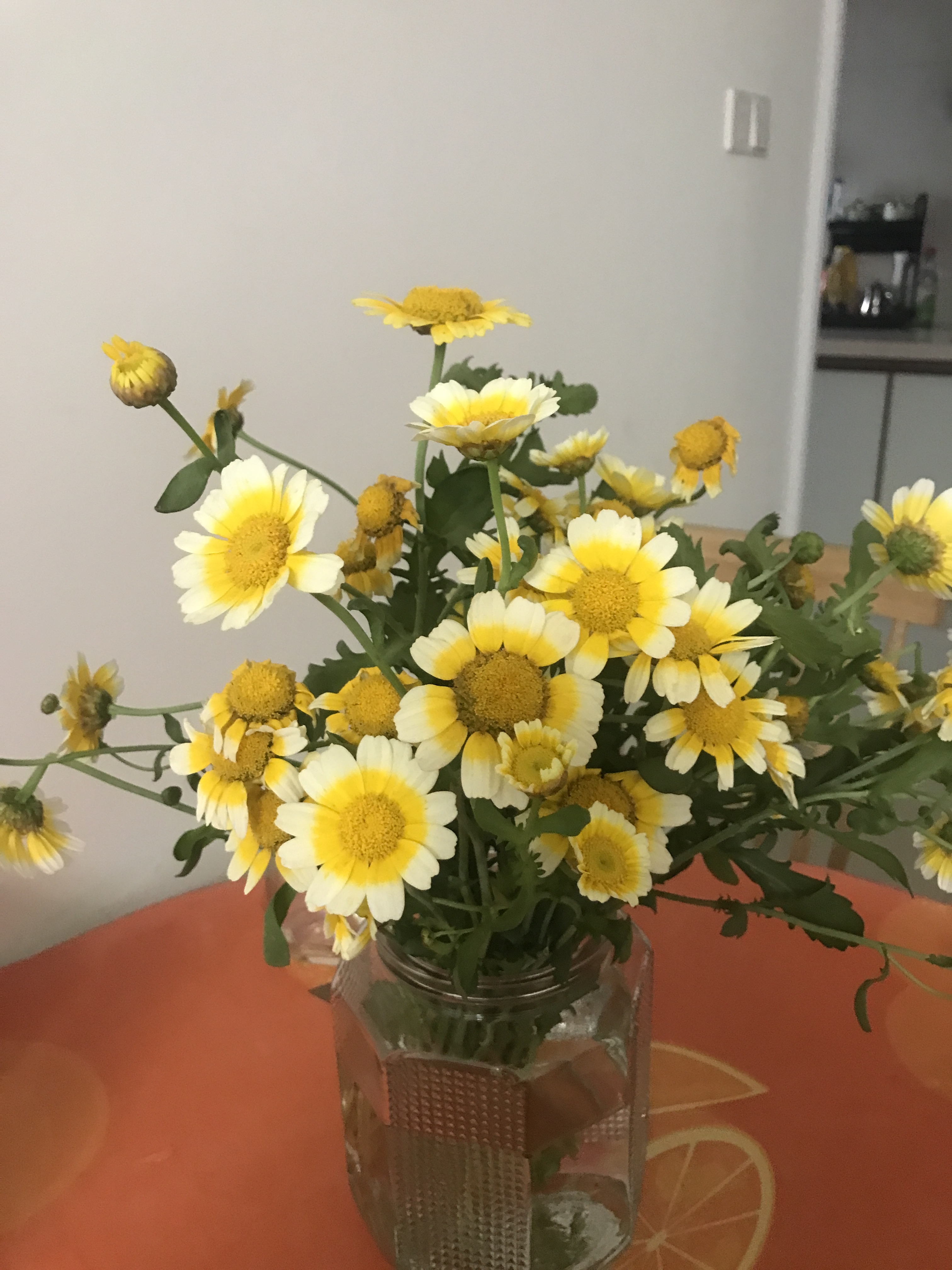 小新助手:从失业到菜鸟驿站,我的快递工作转变与生活感悟 小新助手:从失业到菜鸟驿站,我的快递工作转变与生活感悟