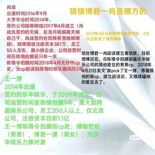 单单助手官网：博君一肖CP背后的团队运营与粉丝经济解析