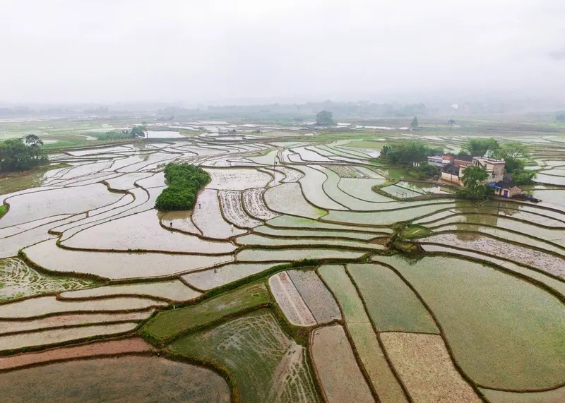 番茄助手补单软件：李子柒，数字时代的田园牧歌与精神疗愈之旅