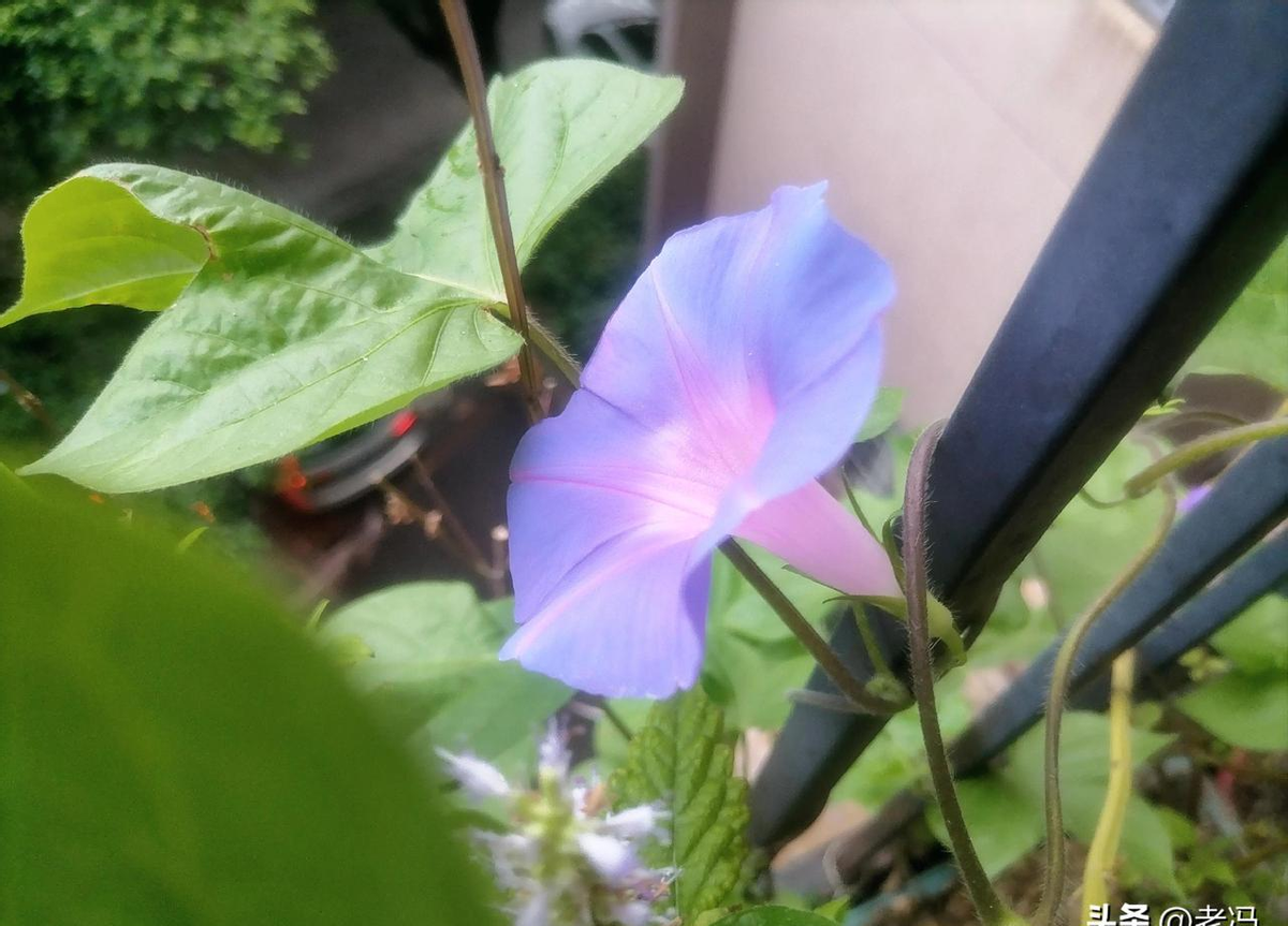 超评助手下载安装：51岁再就业，市场为何青睐银发人才？