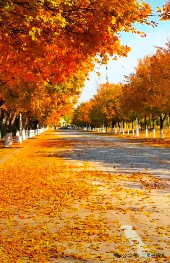 拼多多改销量:2025年微信推客崛起,信任分享开启万亿创业新机遇 拼多多改销量:2025年微信推客崛起,信任分享开启万亿创业新机遇