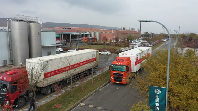 X助手：庄园股份百吨牛奶顺利出口东南亚，实现“甘味出海”战略新突破