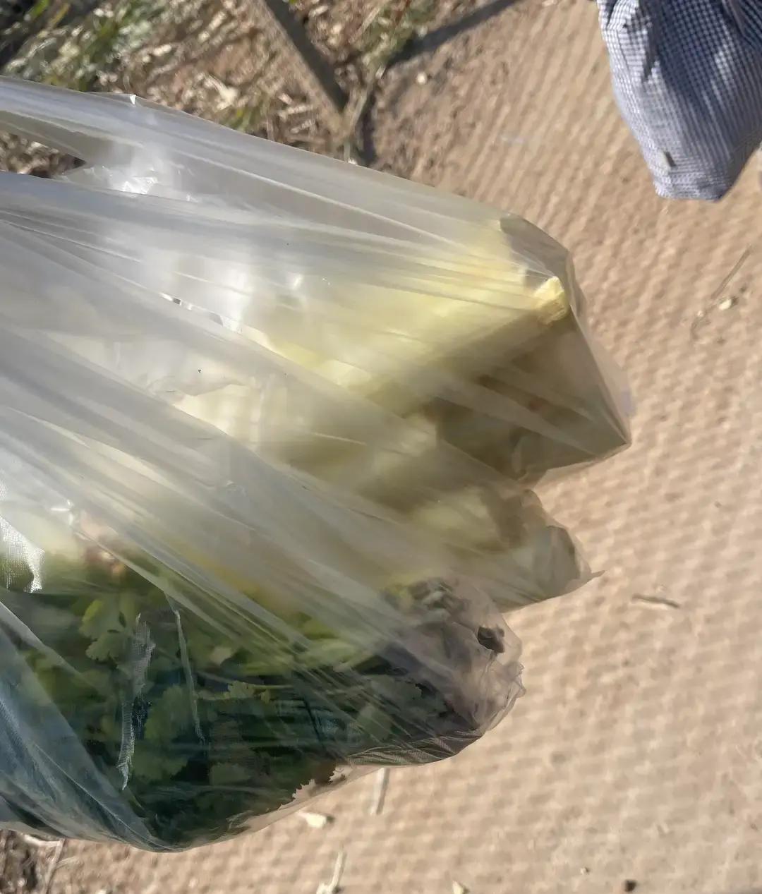 易出评小号:郑州20元采摘团体验,低价入场券的水果之旅分析 易出评小号:郑州20元采摘团体验,低价入场券的水果之旅分析