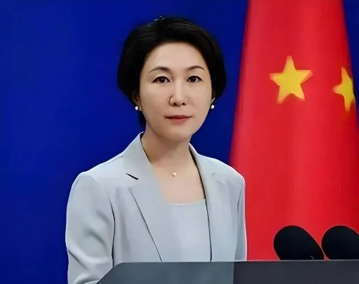 易出评邀请码：中法关系现状，马克龙“双标”政策下的经济对抗与合作前景分析